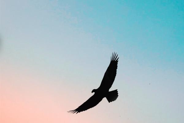 12生肖2024年大年初四打麻将方位查询坐哪里赢翻 12生肖2024年大年初四打麻将方位查询坐哪里赢翻