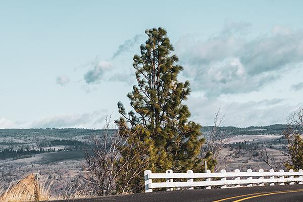 2024年自己怎样化解太岁 送旧迎新化解太岁