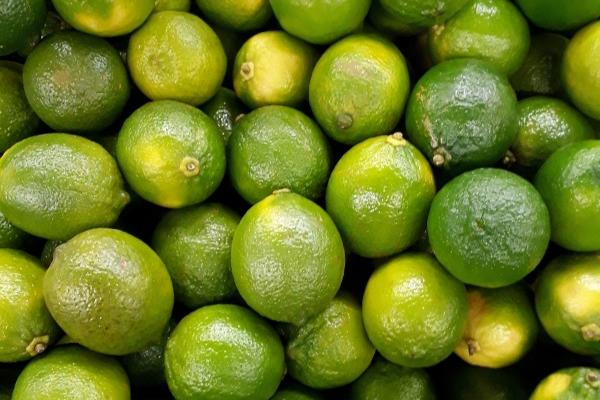 2024年犯太岁闰月能结婚吗 闰月结婚的注重