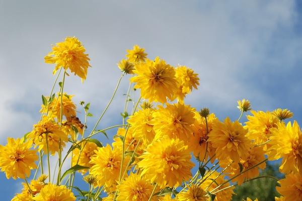 本命年但凡是红色就可以了吗 红色其背后的喻意和选择