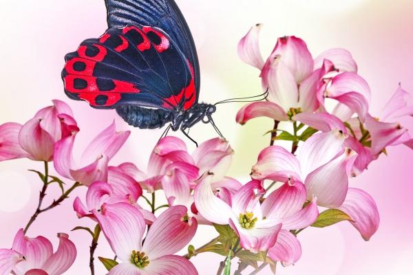 1990属马女哪一年能添丁 属马女命里有儿子吗