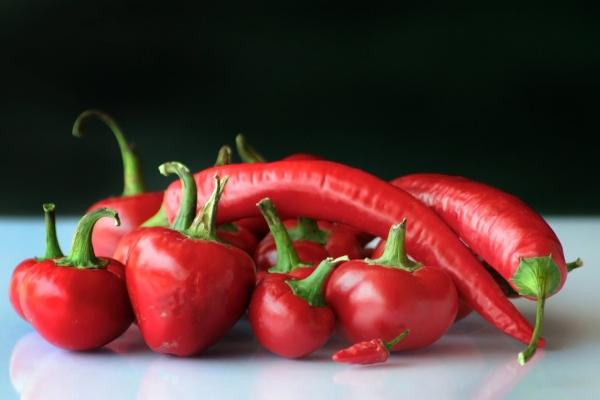 2024年犯太岁生肖全集 揭密五大生肖的运程 2024年犯太岁生肖全集 揭密五大生肖的运程