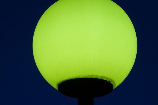 2024属龙人不可穿的衣服颜色 属龙却不适合什么样的颜色