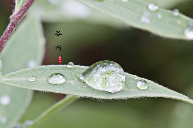 梦到去世的人生孩子是啥征兆