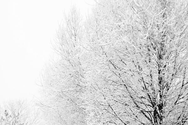 属兔女和属鼠男孩子婚配 属兔女和属鼠男可行吗