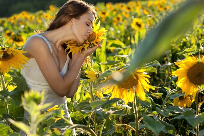 2024年属马要注意什么 2024年属马人运势好吗