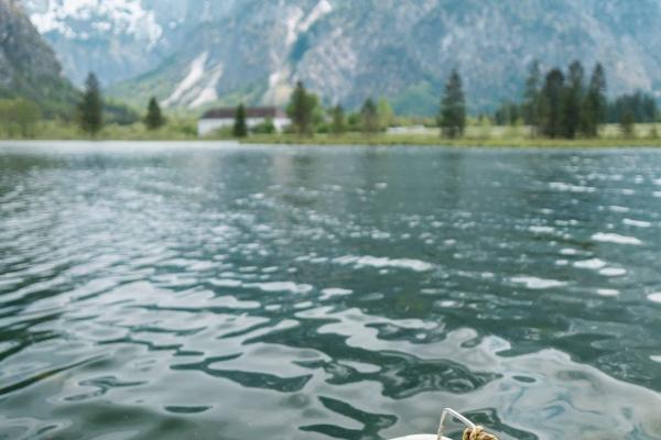 男羊女马的婚姻相配吗 和谐共融携手白头 男羊女马的婚姻相配吗 和谐共融携手白头