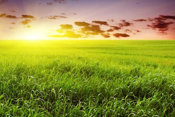 2024年龙年本命年送什么礼物女士，属龙女本命年送什么礼物最好是