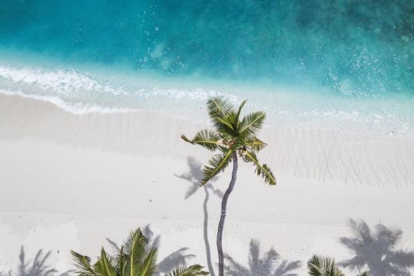 1973属牛女孩子桃花煞 73年属牛女孩子一生桃花运