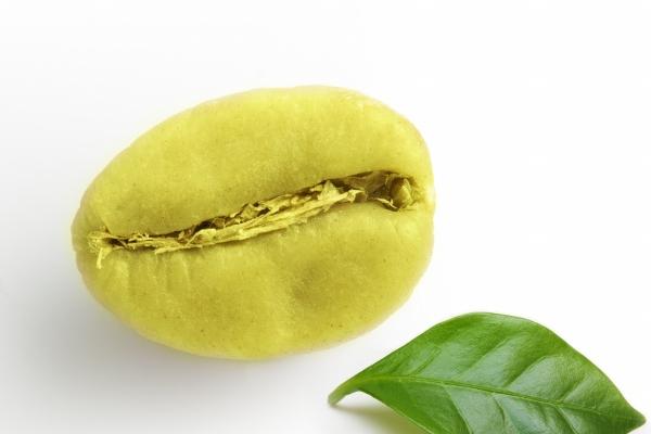 2024年属羊人全年度运势怎样 属羊人2024年全年度运势详细说明