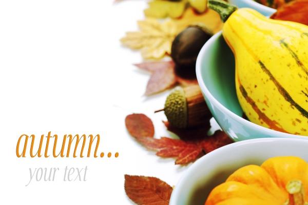 牛马结婚真的可以克死一个人吗 牛马组合是不是真的相冲？