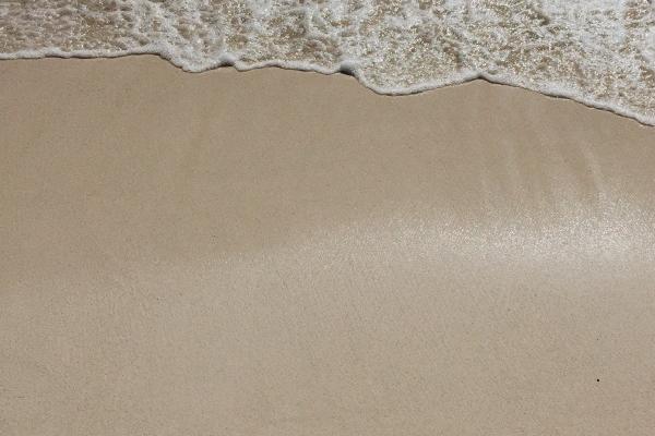 2024年狗的桃花劫到底是谁，属狗的孽恋生肖