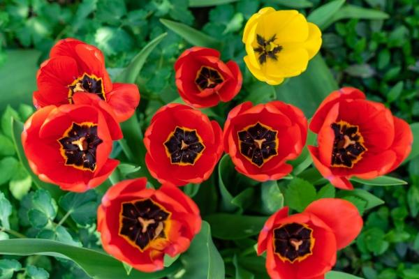 牛马真的不要结婚啊 牛马夫妻之间的和谐之道 牛马真的不要结婚啊 牛马夫妻之间的和谐之道