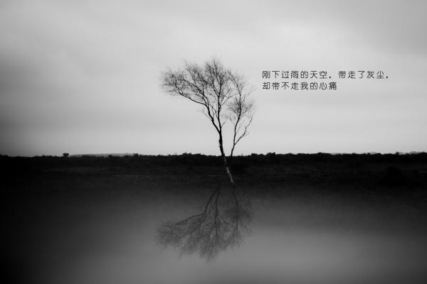 2024走大运的生肖 2024年大运到来的生肖 2024走大运的生肖 2024年大运到来的生肖