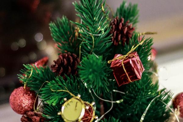 鼠2024年运势及运程每月运程 属鼠人2024年每月运势 鼠2024年运势及运程每月运程 属鼠人2024年每月运势