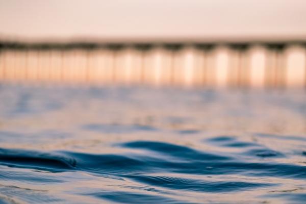 属牛总和属牛合财吗 属牛人和什么生肖合财