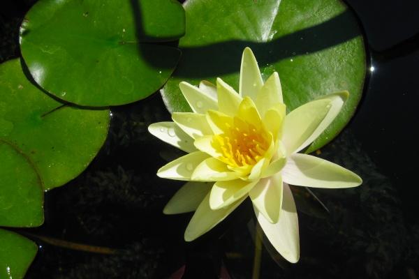 87年属兔37岁婚姻情况，87年属兔人中老年有婚姻危机吗