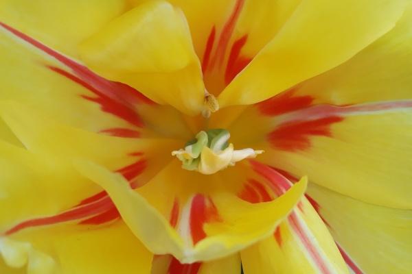 2024年属龙的全年运势如何 属龙人2024年运势完整篇 2024年属龙的全年运势如何 属龙人2024年运势完整篇