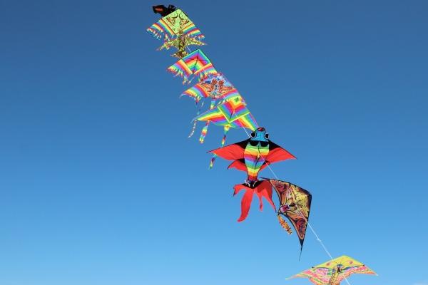 属马女和属牛的婚姻如何 优点和缺点与交往技巧