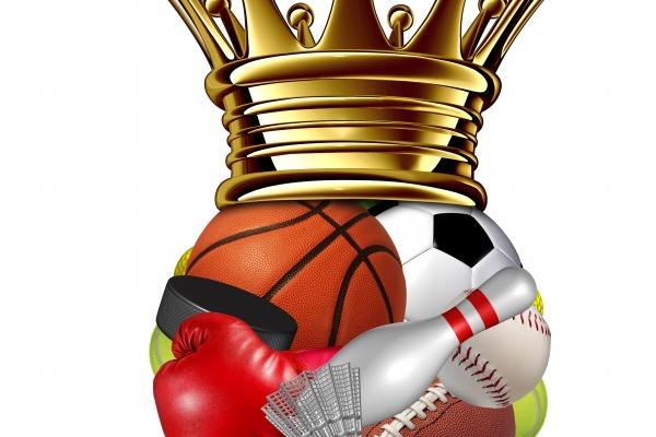 属虎人2024年运势及运势 2024年属虎人全年度运势 属虎人2024年运势及运势 2024年属虎人全年度运势