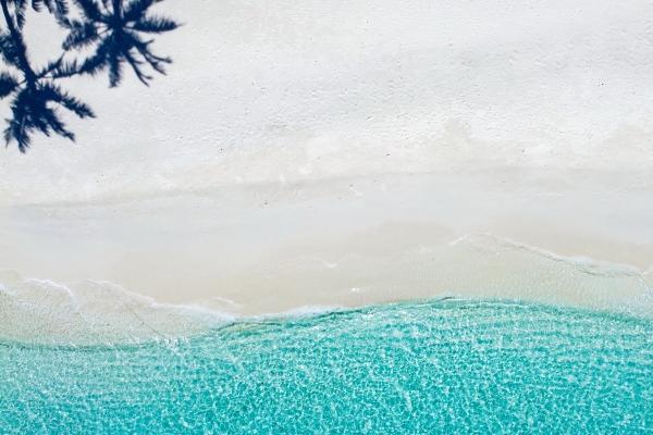 属猪男与属羊女婚配全集 男属猪和女属羊的婚姻怎么样