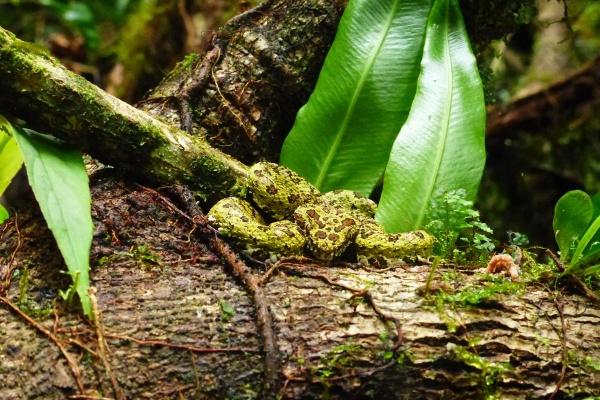 牛马婚姻不太好如何化解 沟通和妥协 牛马婚姻不太好如何化解 沟通和妥协