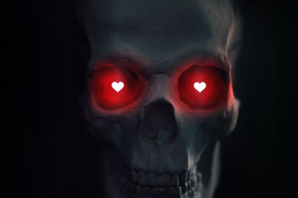 属兔的婚姻运势 属兔人命运