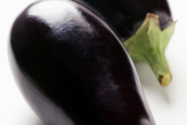 2024年属虎人全年度运势女 属虎女孩子2024年全年度运势 2024年属虎人全年度运势女 属虎女孩子2024年全年度运势