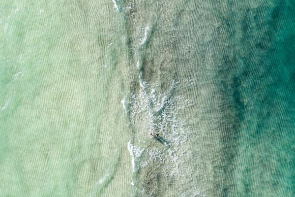 88年属龙配90属马如何 88年属龙90年属马完婚能够长期吗