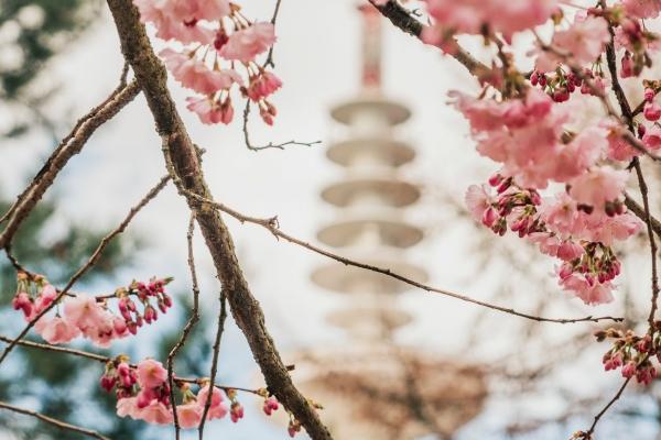 60岁本命年大忌属龙，属龙人60岁本命年必须注意什么