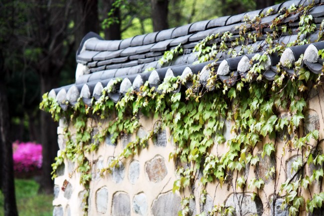 属兔2024年穿什么颜色旺财运，属兔的幸运颜色是啥