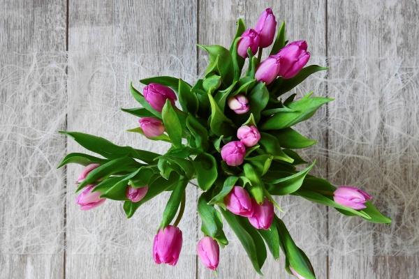 为什么龙年新生儿诸多?龙孩子有何独到之处? 为什么龙年新生儿诸多?龙孩子有何独到之处?