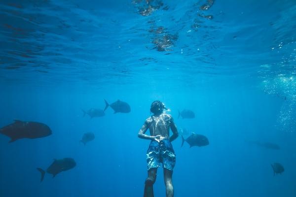 属猴女与属虎男婚配 男虎女猴的婚姻如何