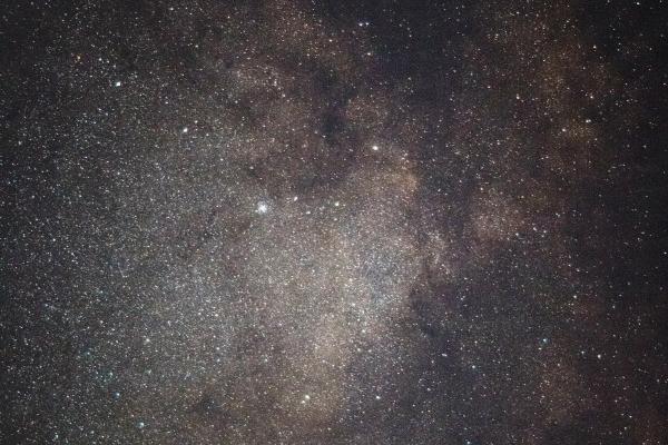 属龙和属猪能不能婚配取得成功？属相兼容剖析