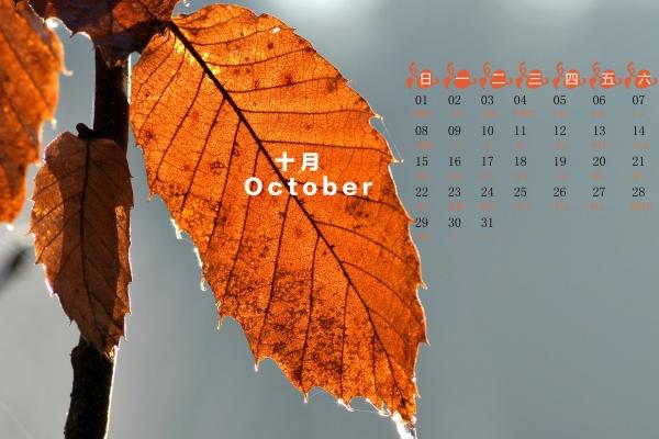 属大龙的2024年本命年运势如何 属龙人2024年运势