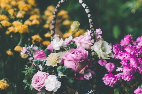 属牛女2024年全年度运势 2024年属牛人全年度运势女性