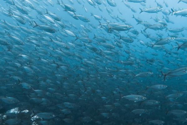 属龙人一生正缘定下 属龙人正缘到底是谁