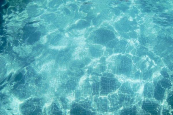 属鸡2024年高考运气如何 属鸡人2024年考运怎样