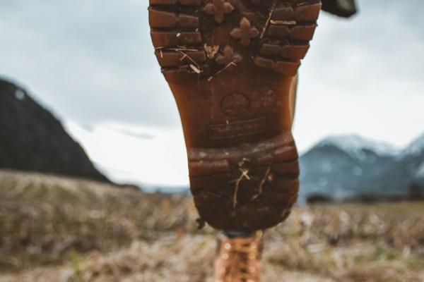 82年属狗的三大坎 82年属狗人命运