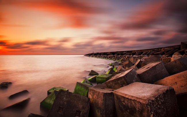 2024属虎要小心一个 2024年最吉利的生肖有什么