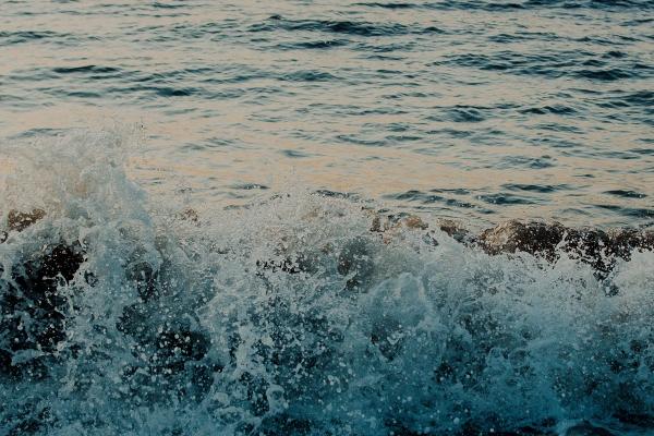 属蛇人33岁后半生命数 各种各样运势如何