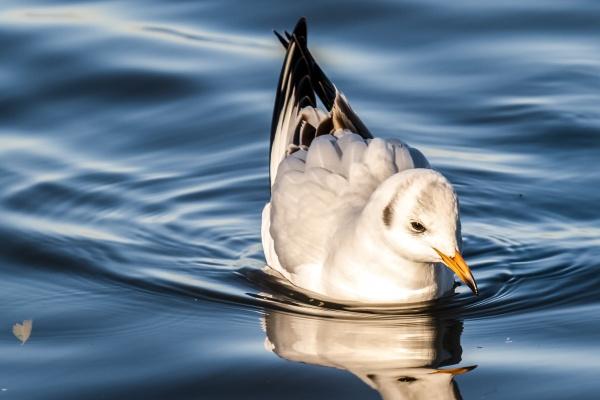 犯太岁一般持续多长时间 什么叫犯太岁