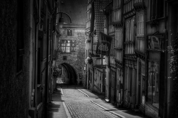 马和猴的生肖婚姻是不是相配？缘故有这样的