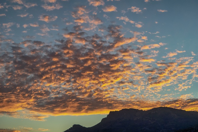 78的马2024运气如何 78年马什么时候才能走大运 78的马2024运气如何 78年马什么时候才能走大运