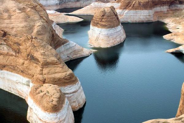 猪人2024年有3人脱离 属猪人2024年运程