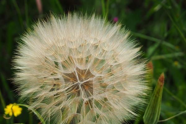 愚蠢至极的生肖女，谁主要表现最令人失望