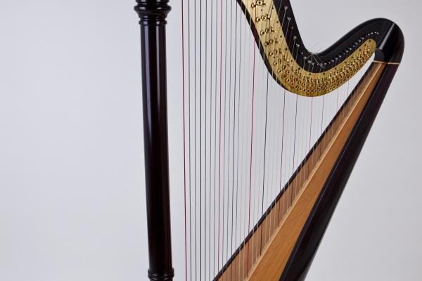 属相蛇2024年运气怎样 属蛇运势龙年好