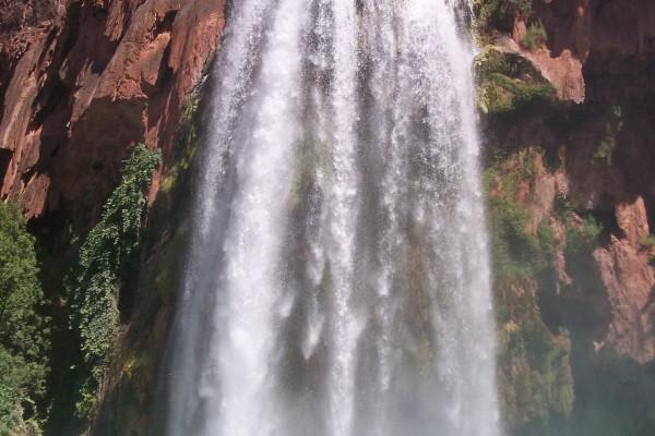 属虎2024年全年度运势运程 属相虎2024年运势及运程