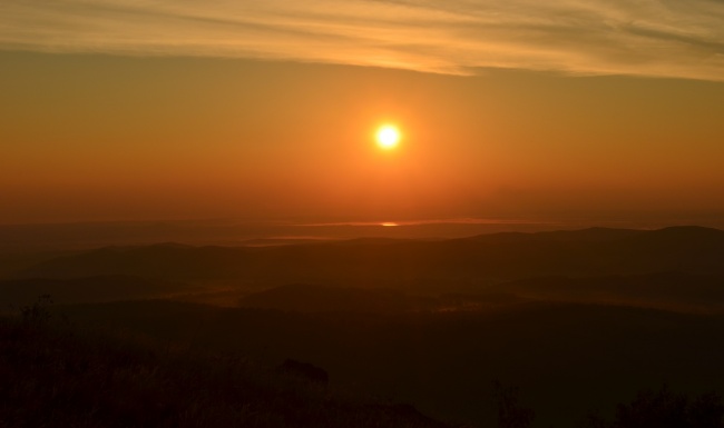 8月烂桃花数最多的属相2024年 这三个属相容易陷入感情纠纷案件