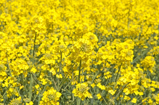 2024年好多人换大运 2024年换大运的属相